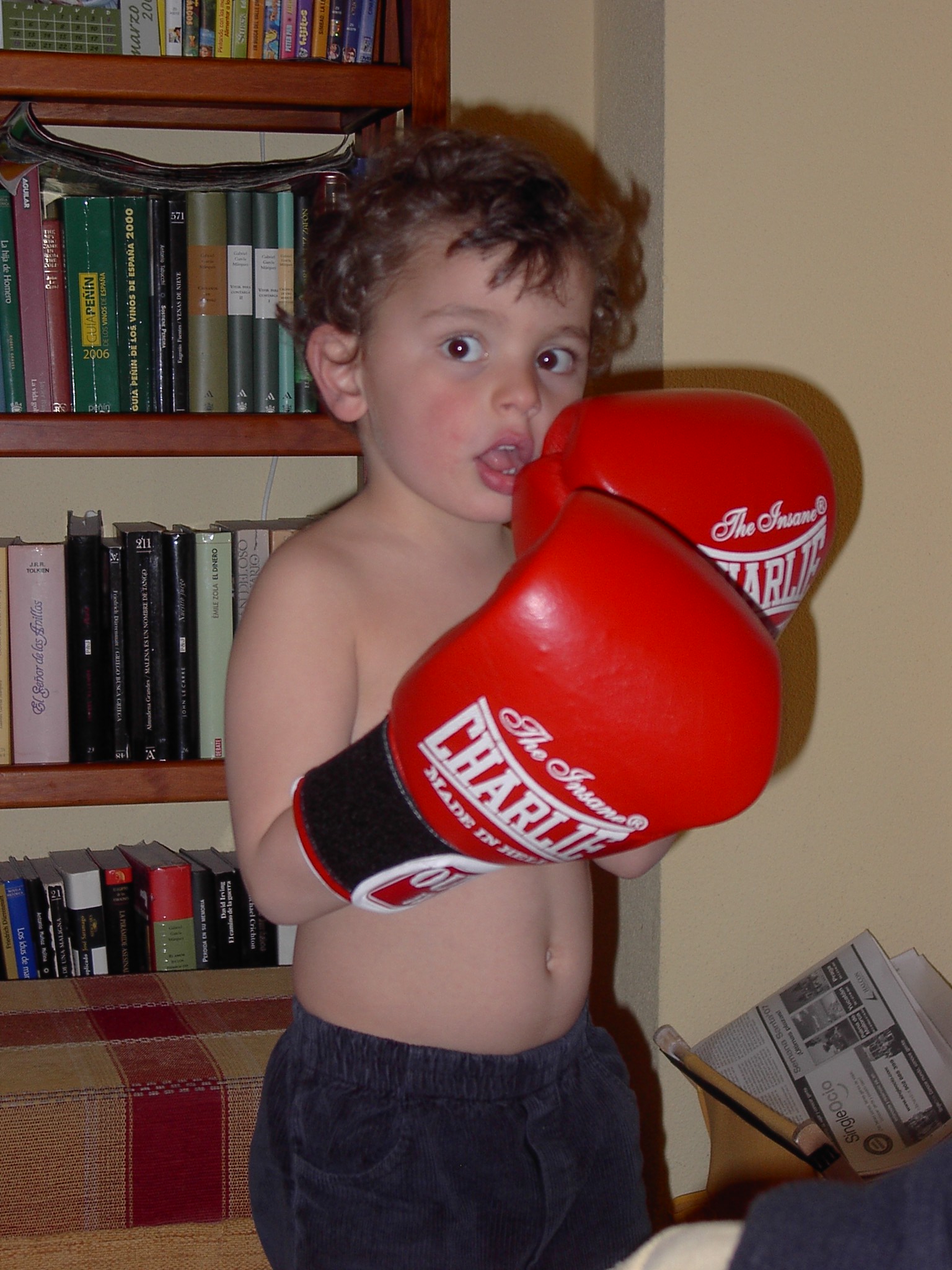 Mini-Mo 13