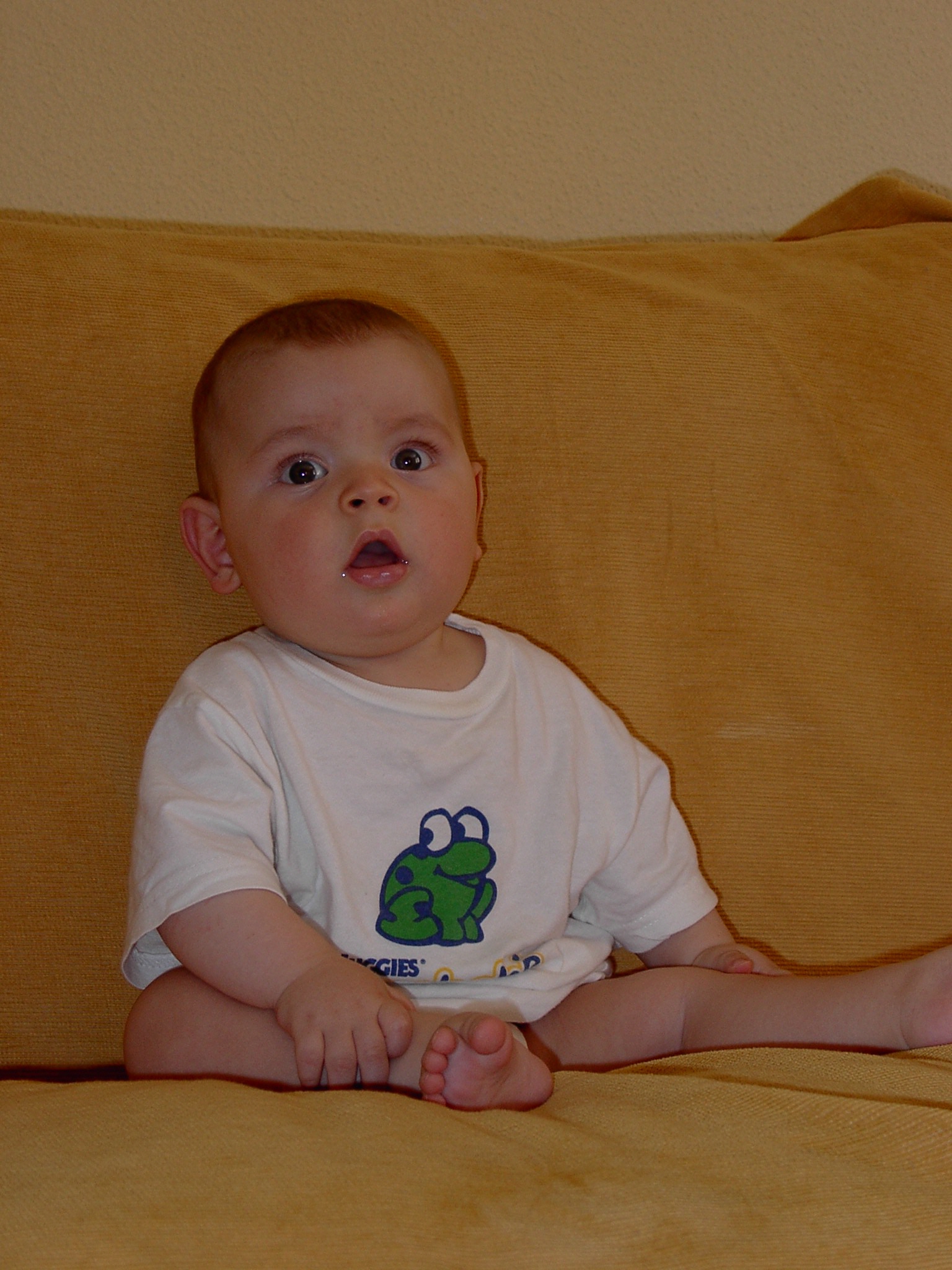 Mini-Mo 4